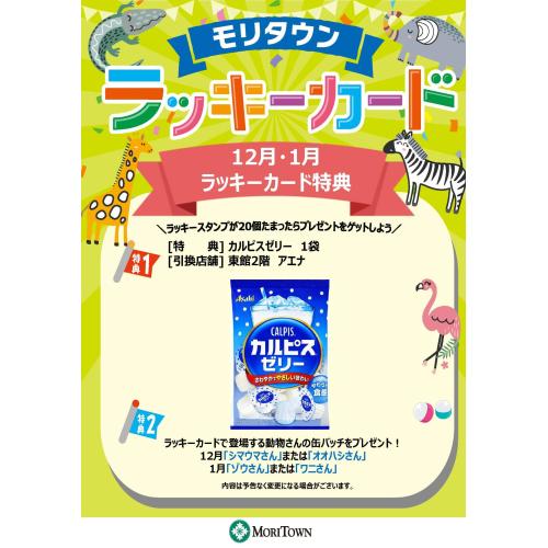 ⭐︎12月・1月のラッキーカード特典⭐︎