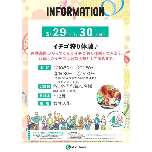 イチゴ狩り体験♪