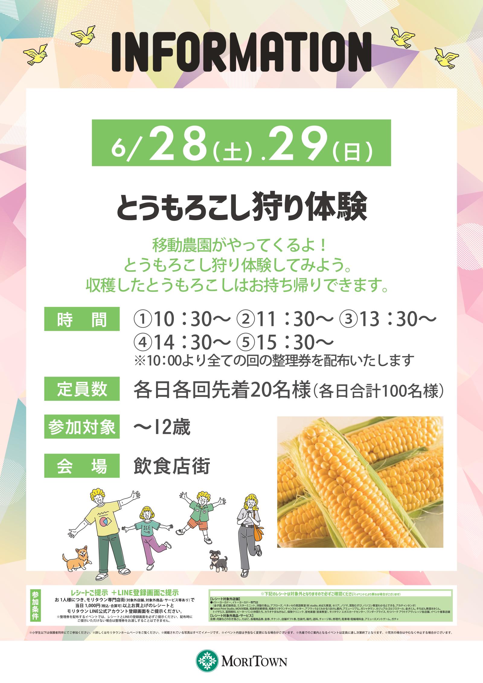 とうもろこし狩り体験