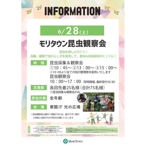 モリタウン昆虫観察会