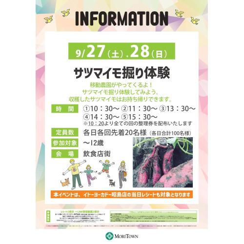 サツマイモ堀り体験