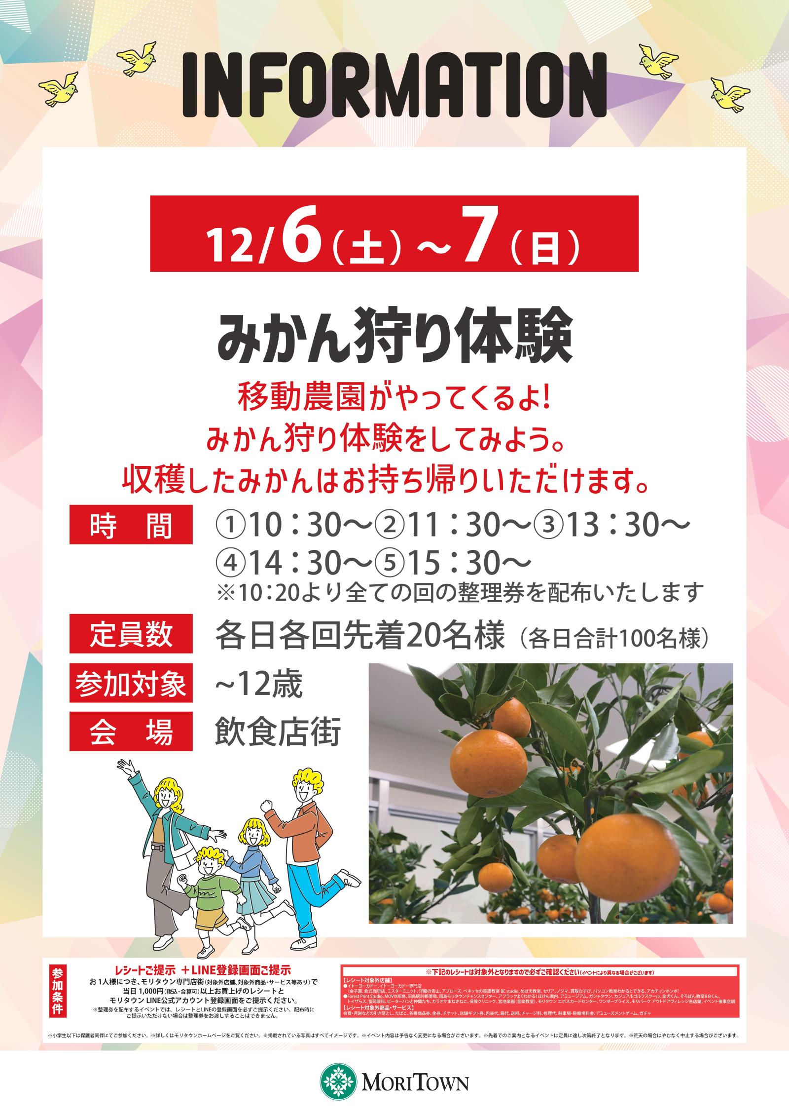 みかん狩り体験