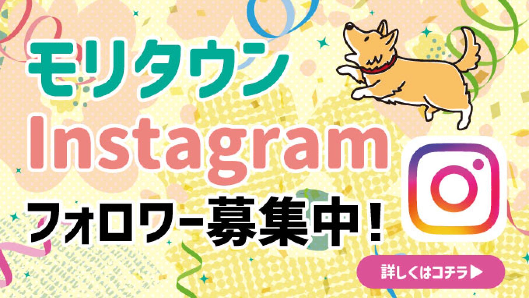 モリタウン　公式Instagramスタート