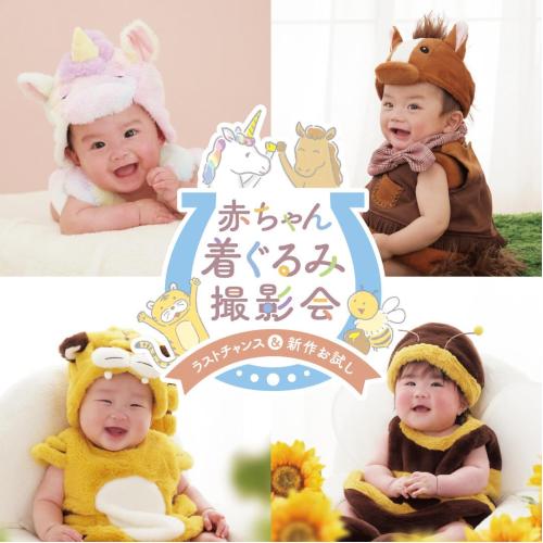 ｡oＯo｡.:*:.＼赤ちゃん着ぐるみ撮影会開催／｡oＯo｡.:*:.
