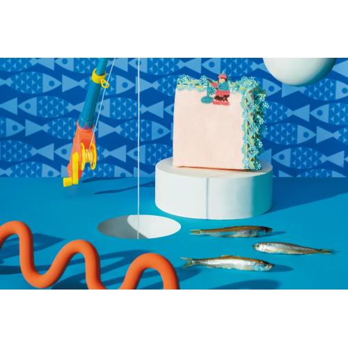 近沢レース【新作紹介】